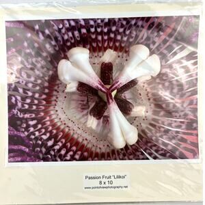 Botanical‎ Passion Fruit Lilikoi 8 × 10 Hawaii Floral Original Photography Print